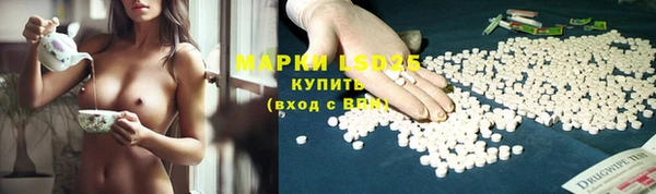 прущие грибы Балахна