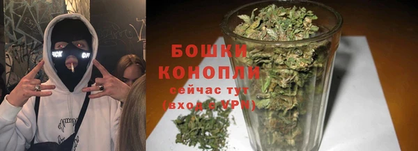 прущие грибы Балахна