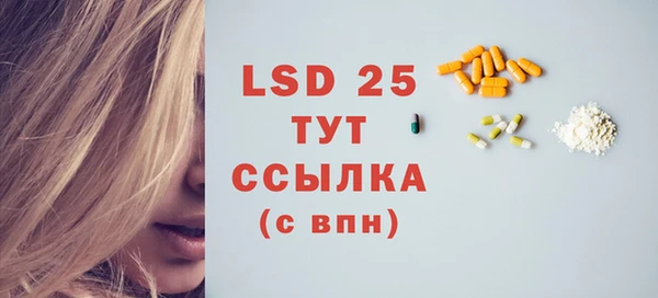 прущие грибы Балахна