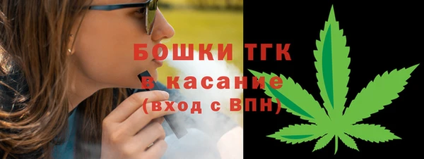 ГАЛЛЮЦИНОГЕННЫЕ ГРИБЫ Баксан