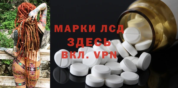 ГАЛЛЮЦИНОГЕННЫЕ ГРИБЫ Баксан