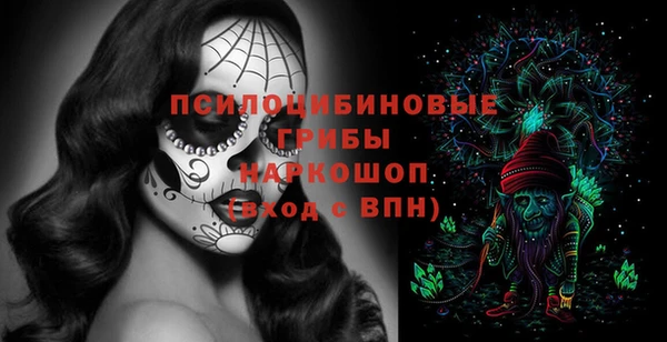 ГАЛЛЮЦИНОГЕННЫЕ ГРИБЫ Баксан