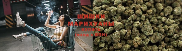 стафф Белокуриха